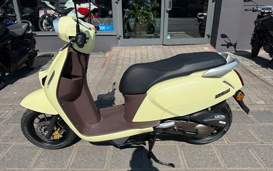 Neufahrzeug QJ Motor LTR 50 - Bild 2