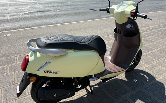 Neufahrzeug QJ Motor LTR 50 - Bild 4