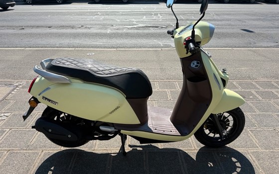 Neufahrzeug QJ Motor LTR 50 - Bild 5