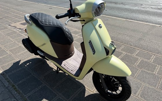 Neufahrzeug QJ Motor LTR 50 - Bild 6
