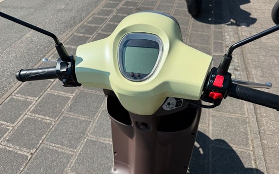 Neufahrzeug QJ Motor LTR 50 - Bild 7