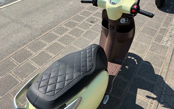 Neufahrzeug QJ Motor LTR 50 - Bild 8