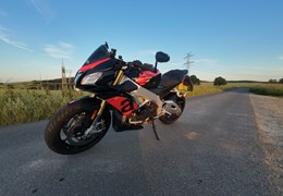 Gebrauchte Aprilia Tuono V4 1100 RR