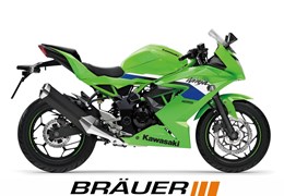 Neumotorrad Kawasaki Ninja 125