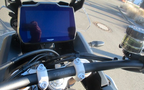 Gebrauchtmotorrad Triumph Tiger 900 Desert Edition - Bild 10