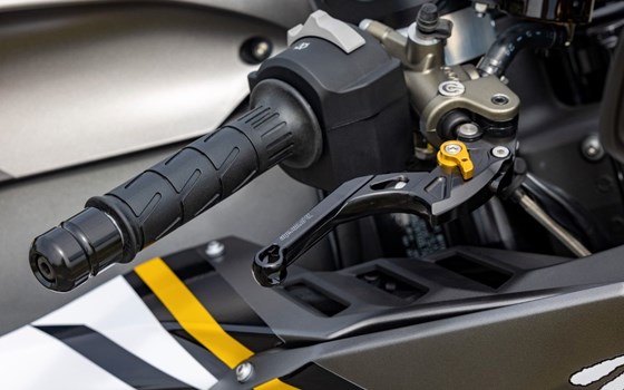 Neufahrzeug Kawasaki Ninja ZX-10RR - Bild 14