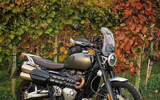 Gebrauchtmotorrad Triumph Scrambler 1200 XC - Bild 1