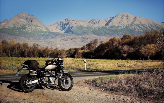 Gebrauchtmotorrad Triumph Scrambler 1200 XC - Bild 4