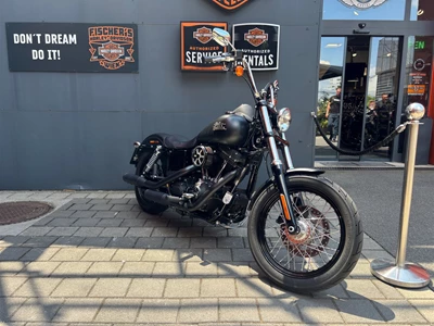 Foto des Bikes