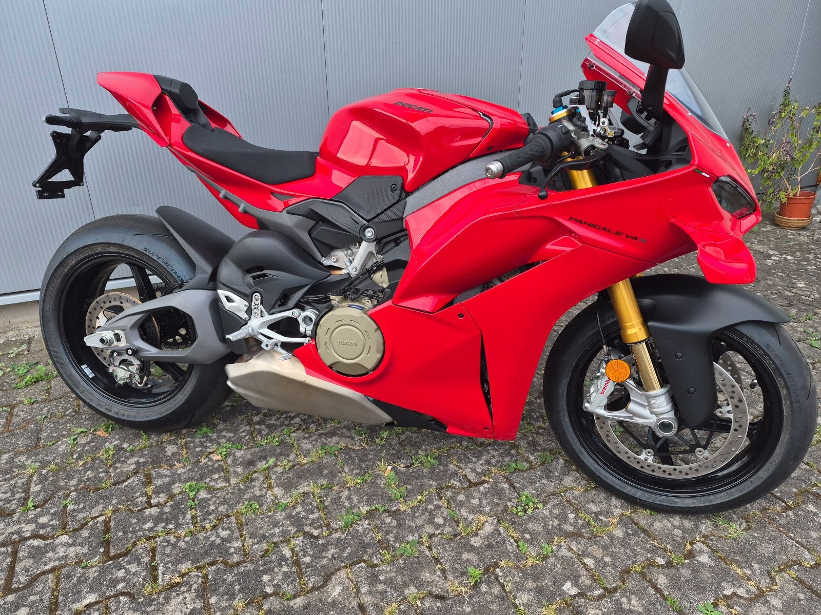 Ducati