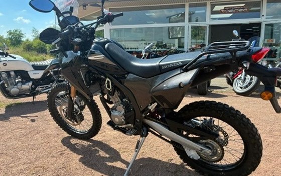 Gebrauchtmotorrad Honda CRF250 Rally - Bild 2