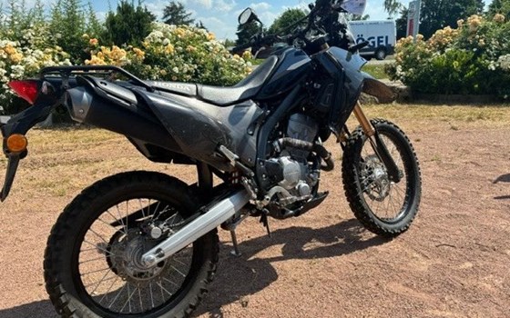 Gebrauchtmotorrad Honda CRF250 Rally - Bild 3