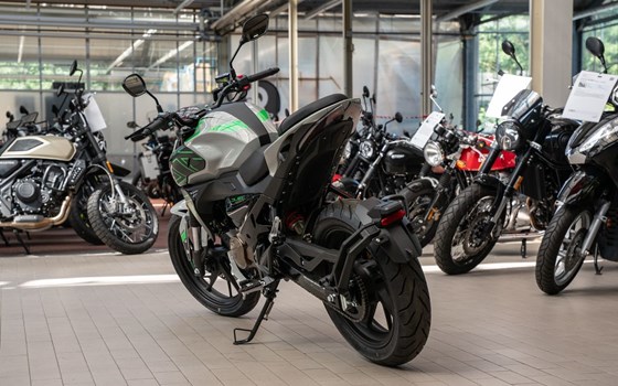 Neufahrzeug KL Motors KXE 125 - Bild 2