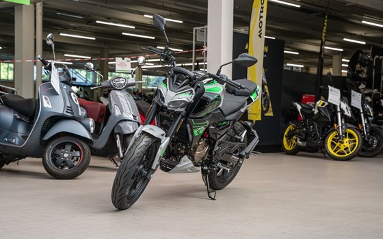 Neufahrzeug KL Motors KXE 125 - Bild 5