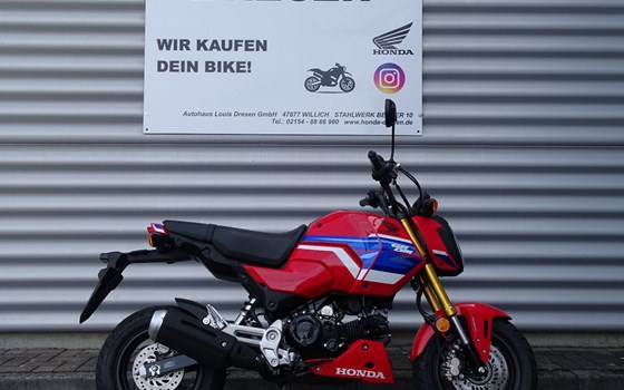 Gebrauchtmotorrad Honda MSX125 Grom - Bild 1