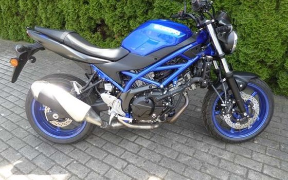 Neufahrzeug Suzuki SV650 - Bild 1