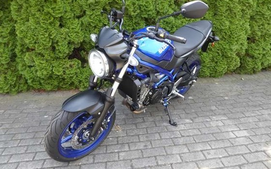 Neufahrzeug Suzuki SV650 - Bild 5