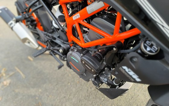 Gebrauchtmotorrad KTM 390 Duke - Bild 3
