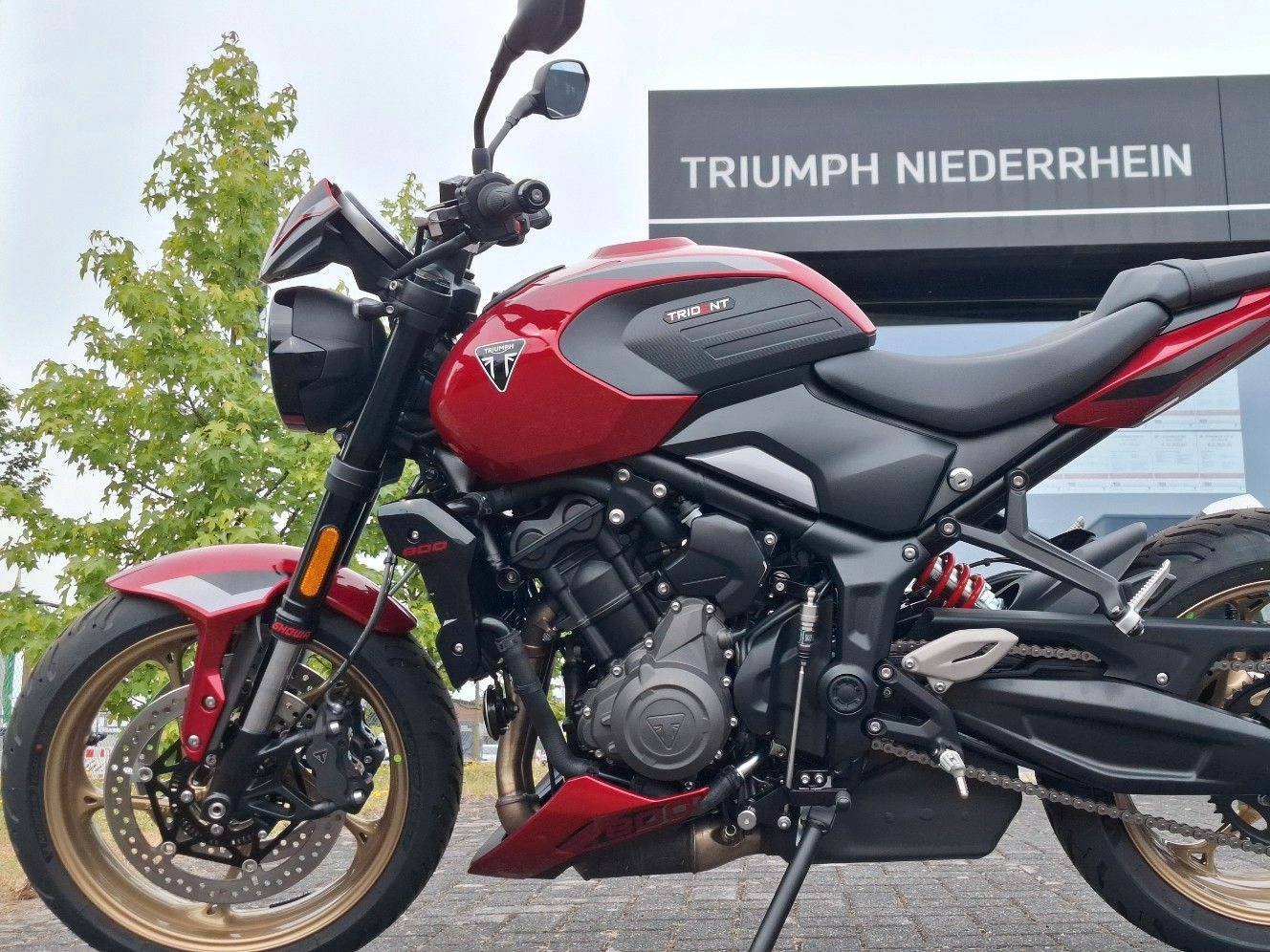 Triumph Trident 800