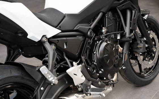 Neufahrzeug Kawasaki Z650 - Bild 9