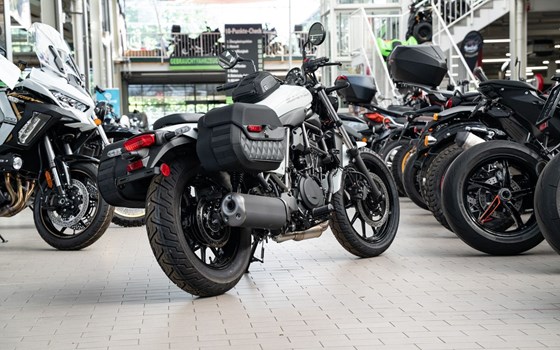 Neufahrzeug Kawasaki Eliminator 500 - Bild 6