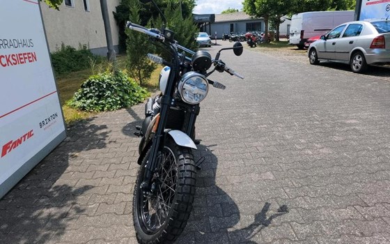 Neufahrzeug Royal Enfield Bear 650 - Bild 3