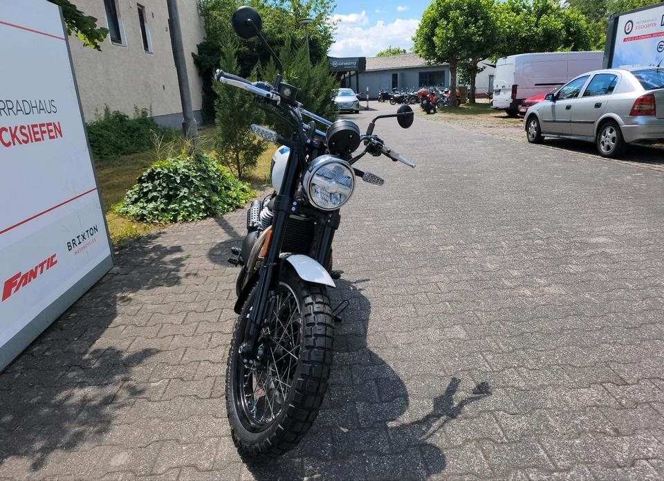 Angebot Royal Enfield Bear 650