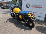 Angebot Royal Enfield Bear 650