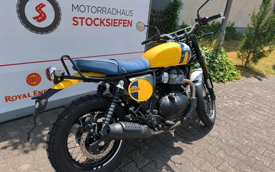 Neufahrzeug Royal Enfield Bear 650 - Bild 6