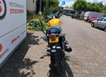 Angebot Royal Enfield Bear 650
