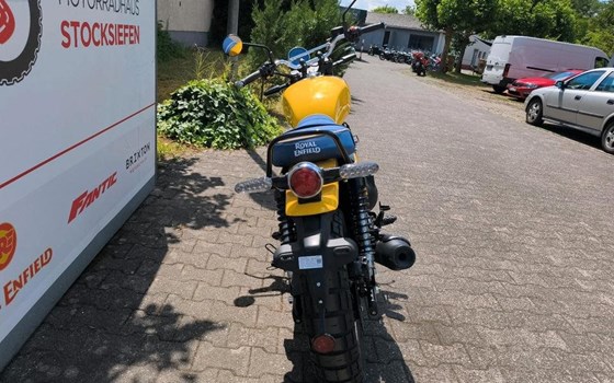 Neufahrzeug Royal Enfield Bear 650 - Bild 7