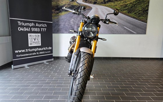 Neufahrzeug Triumph Scrambler 900 - Bild 3