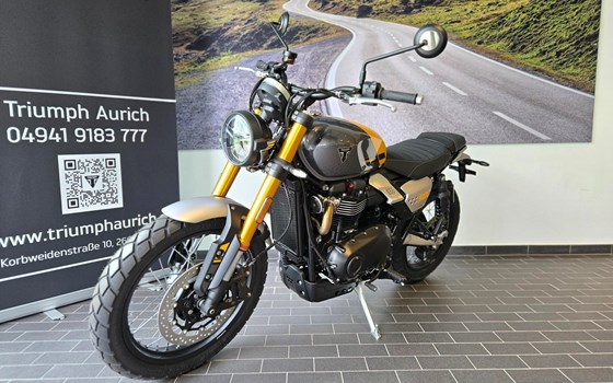 Neufahrzeug Triumph Scrambler 900 - Bild 4