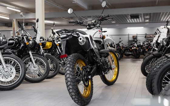 Neufahrzeug Mash X-Ride Trail '21 - Bild 6