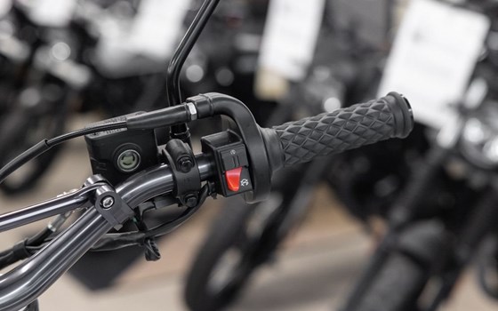 Neufahrzeug Mash X-Ride Trail '21 - Bild 7