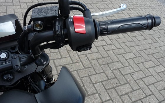 Gebrauchtmotorrad Honda MSX125 Grom - Bild 2