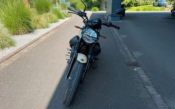 Neufahrzeug Moto Guzzi V7 Stone - Bild 3