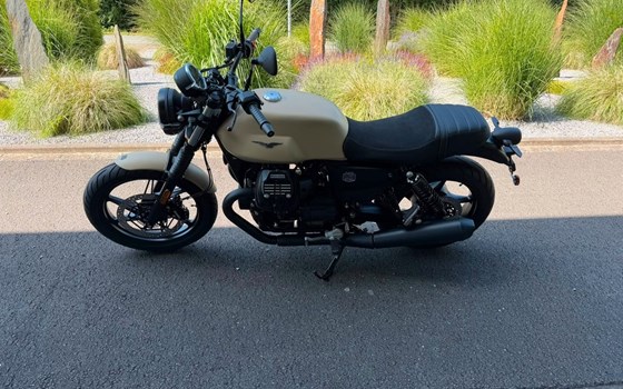 Neufahrzeug Moto Guzzi V7 Stone - Bild 5