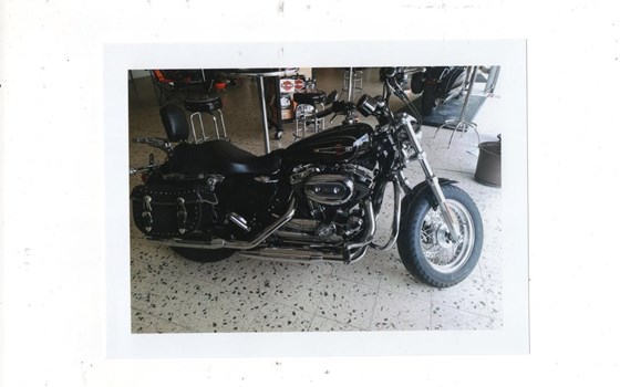 Gebrauchtmotorrad Harley-Davidson Sportster XL 1200C Custom - Bild 6