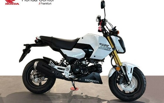 Gebrauchtmotorrad Honda MSX125 Grom - Bild 3