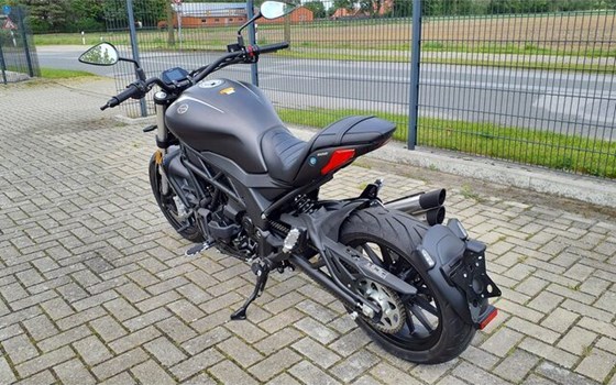 Neufahrzeug Benelli 502 C - Bild 12