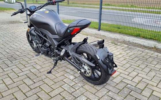 Neufahrzeug Benelli 502 C - Bild 13