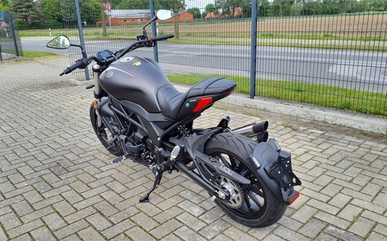 Neufahrzeug Benelli 502 C - Bild 14