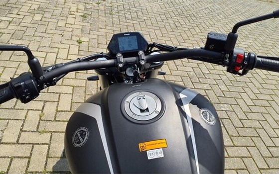 Neufahrzeug Benelli 502 C - Bild 2