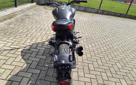 Neufahrzeug Benelli 502 C - Bild 20
