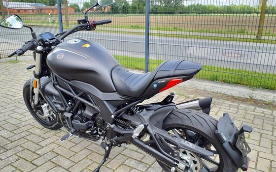 Neufahrzeug Benelli 502 C - Bild 5