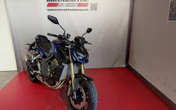 Neufahrzeug QJ Motor SRK 800 - Bild 1