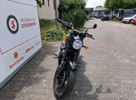 Angebot Royal Enfield Shotgun 650