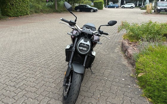 Gebrauchtmotorrad Honda CBR1000RR Fireblade - Bild 4