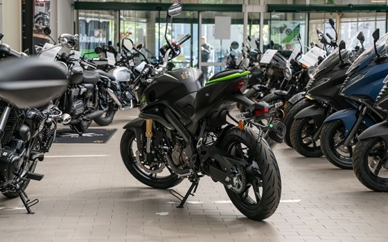 Neufahrzeug QJ Motor SRK 125 S - Bild 2